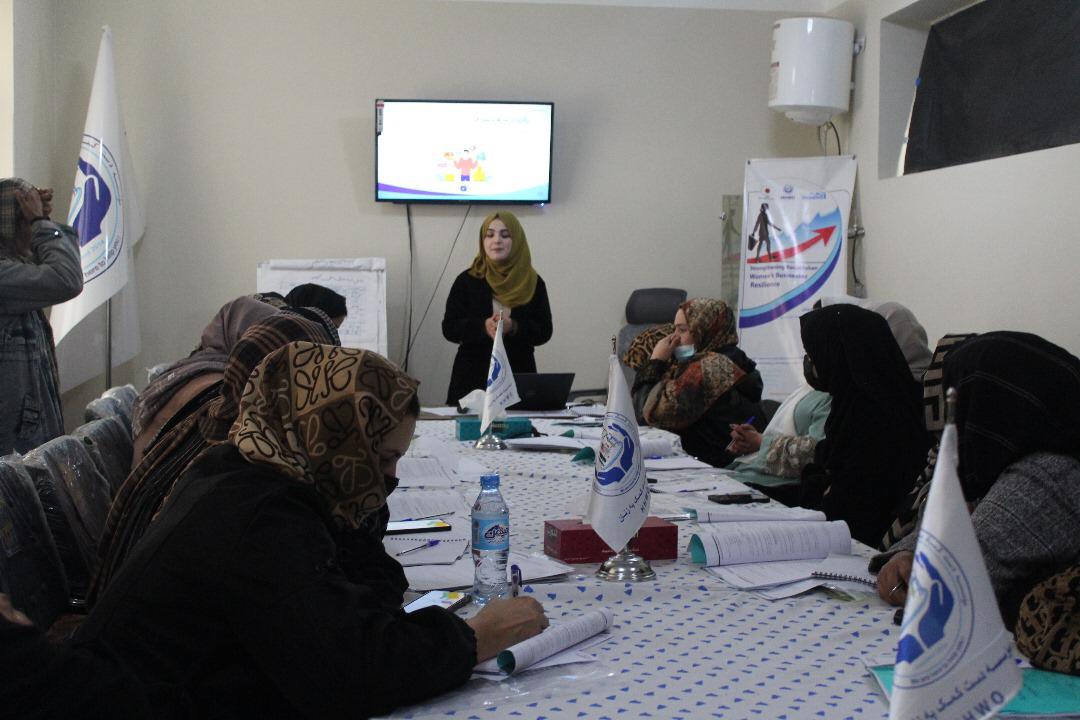 Socio-Economic Study of Vulnerable Women in Panjshir